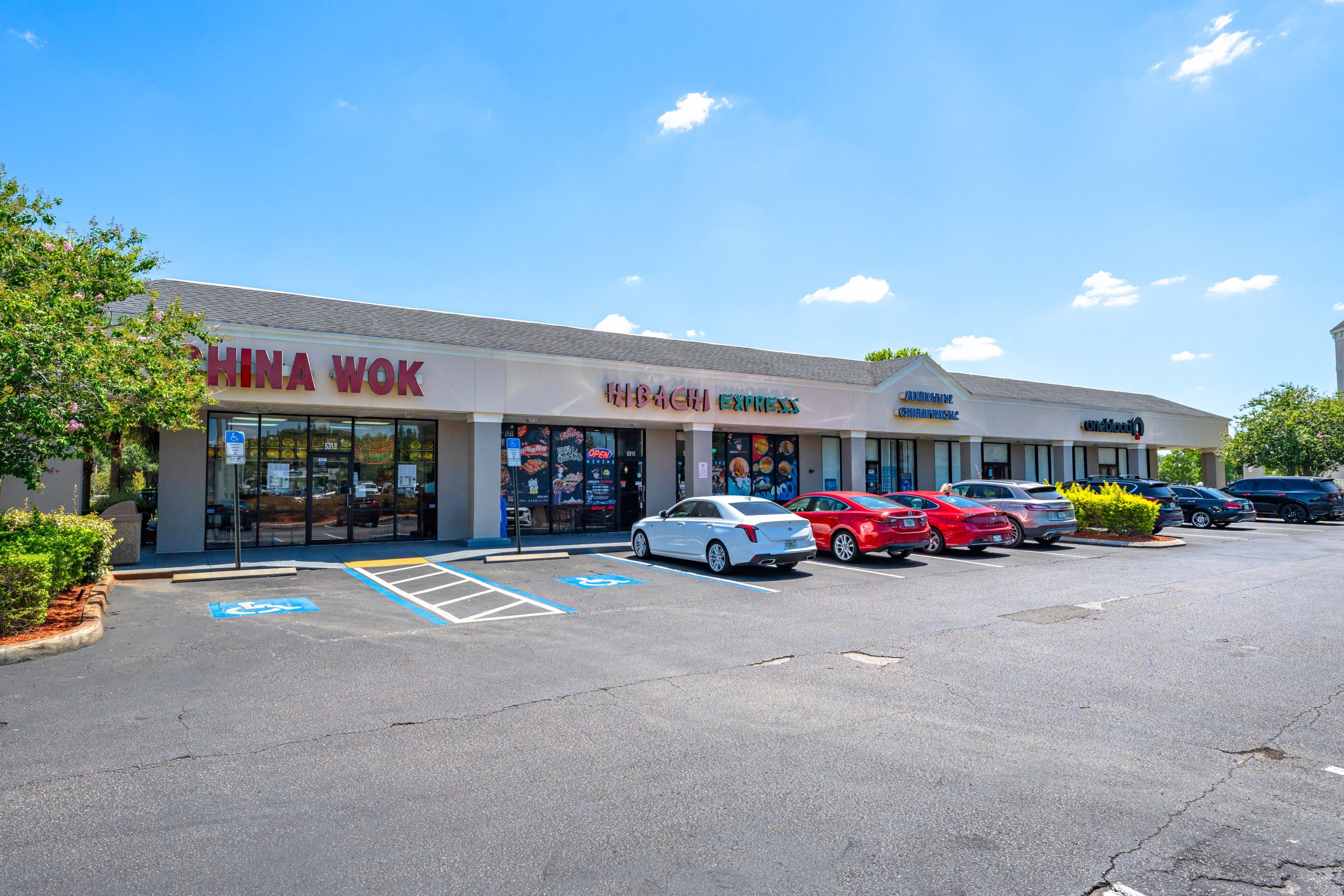 Village Market at Wesley Chapel-149